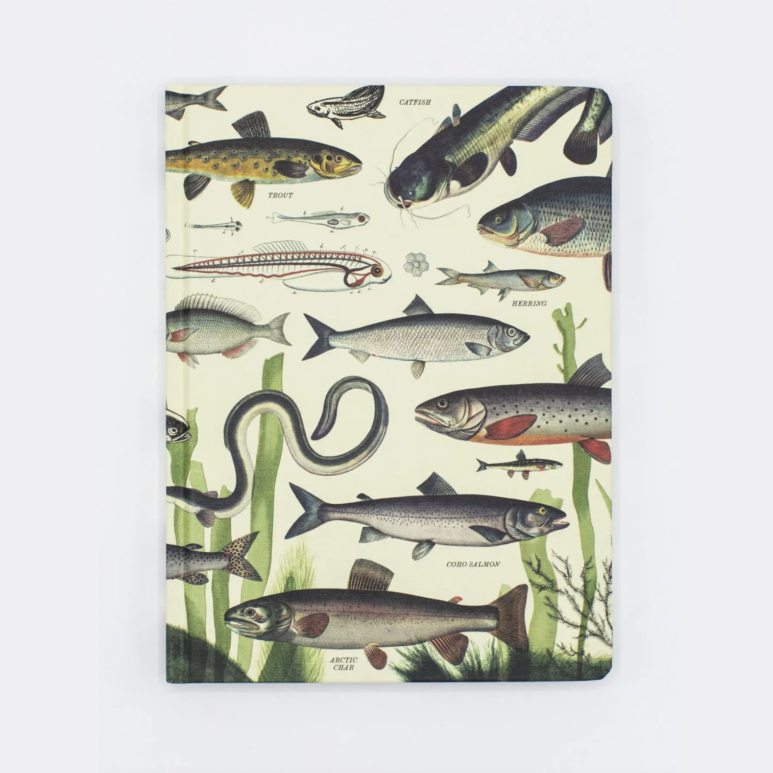 50% Off • Hardcover Notebook Lined & Grid • Freshwater Fish