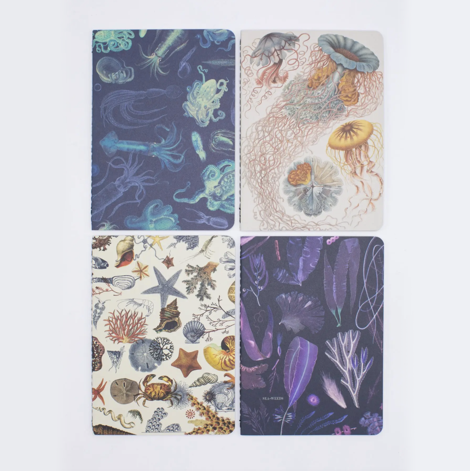 50% Off • Pocket Notebook 4-Pack • Ocean