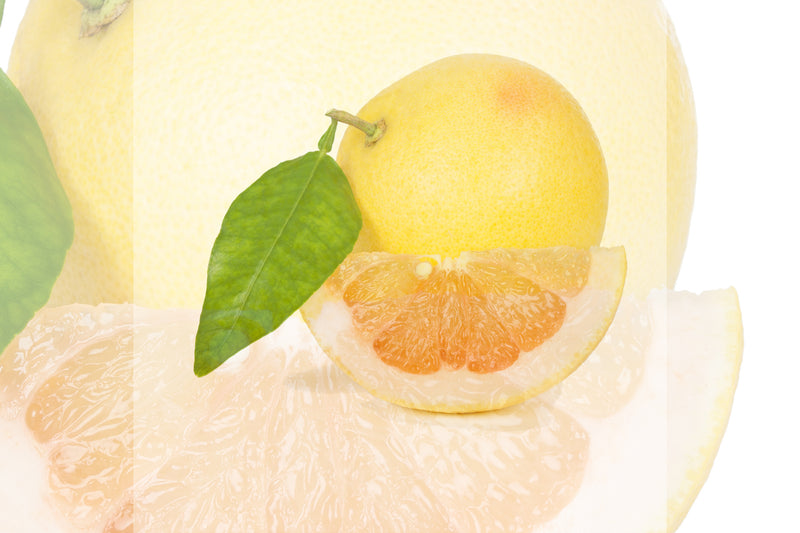 Ingredient Spotlight: White Grapefruit