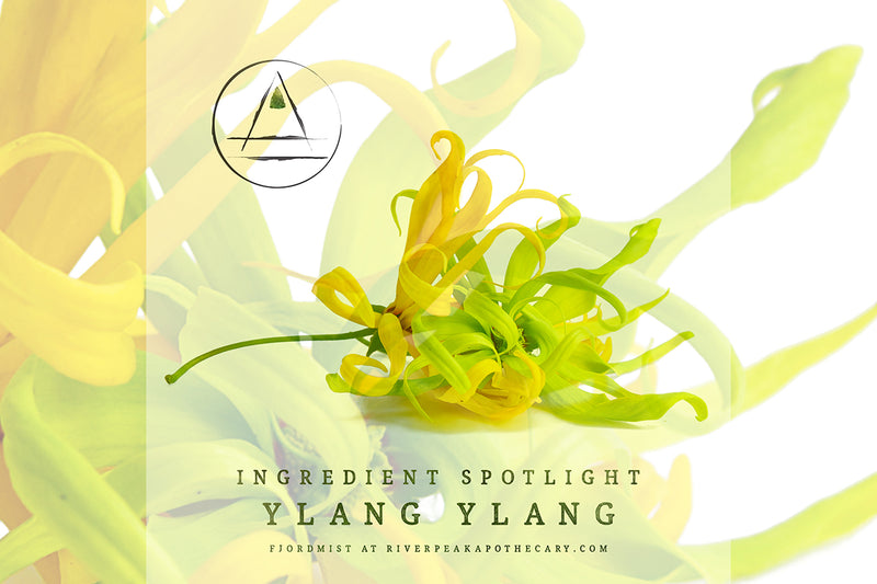 Ingredient Spotlight: Ylang Ylang