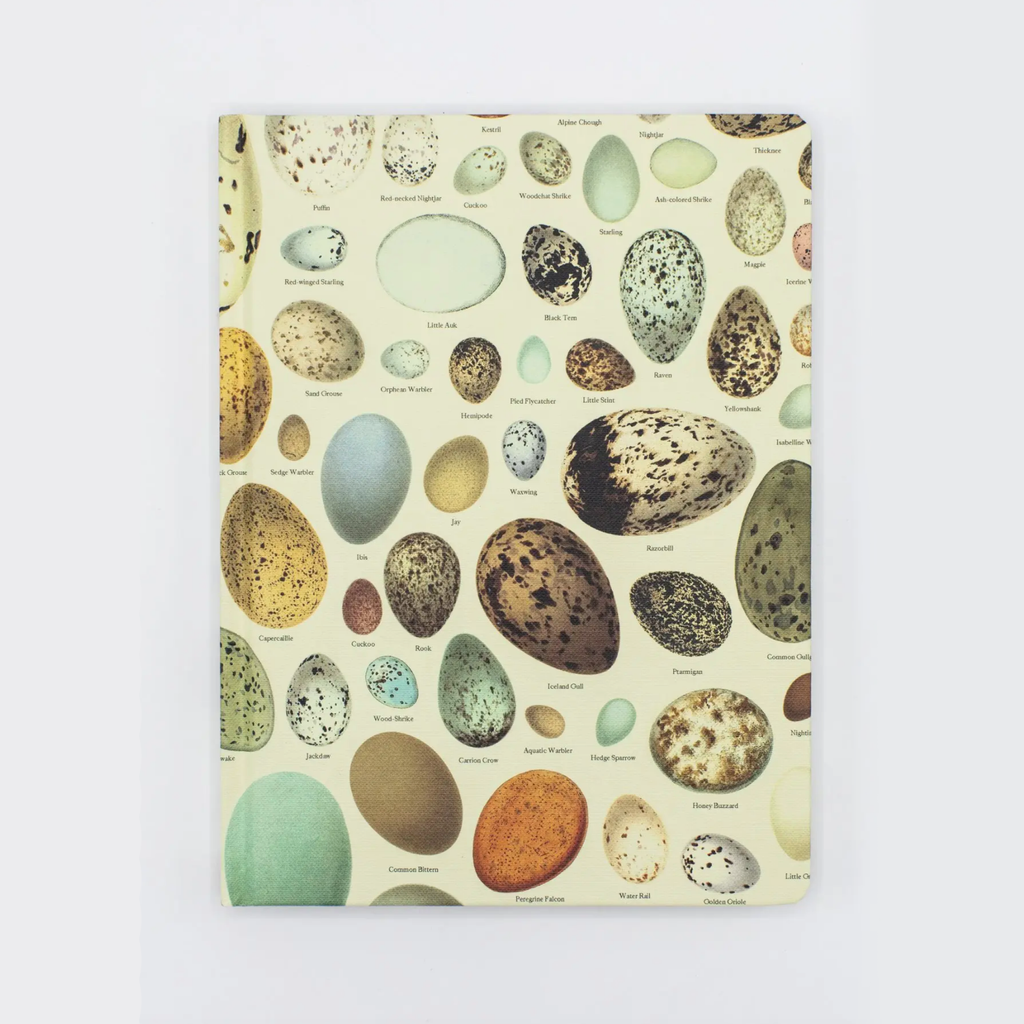 50% Off • Hardcover Notebook Dot Grid • Eggs